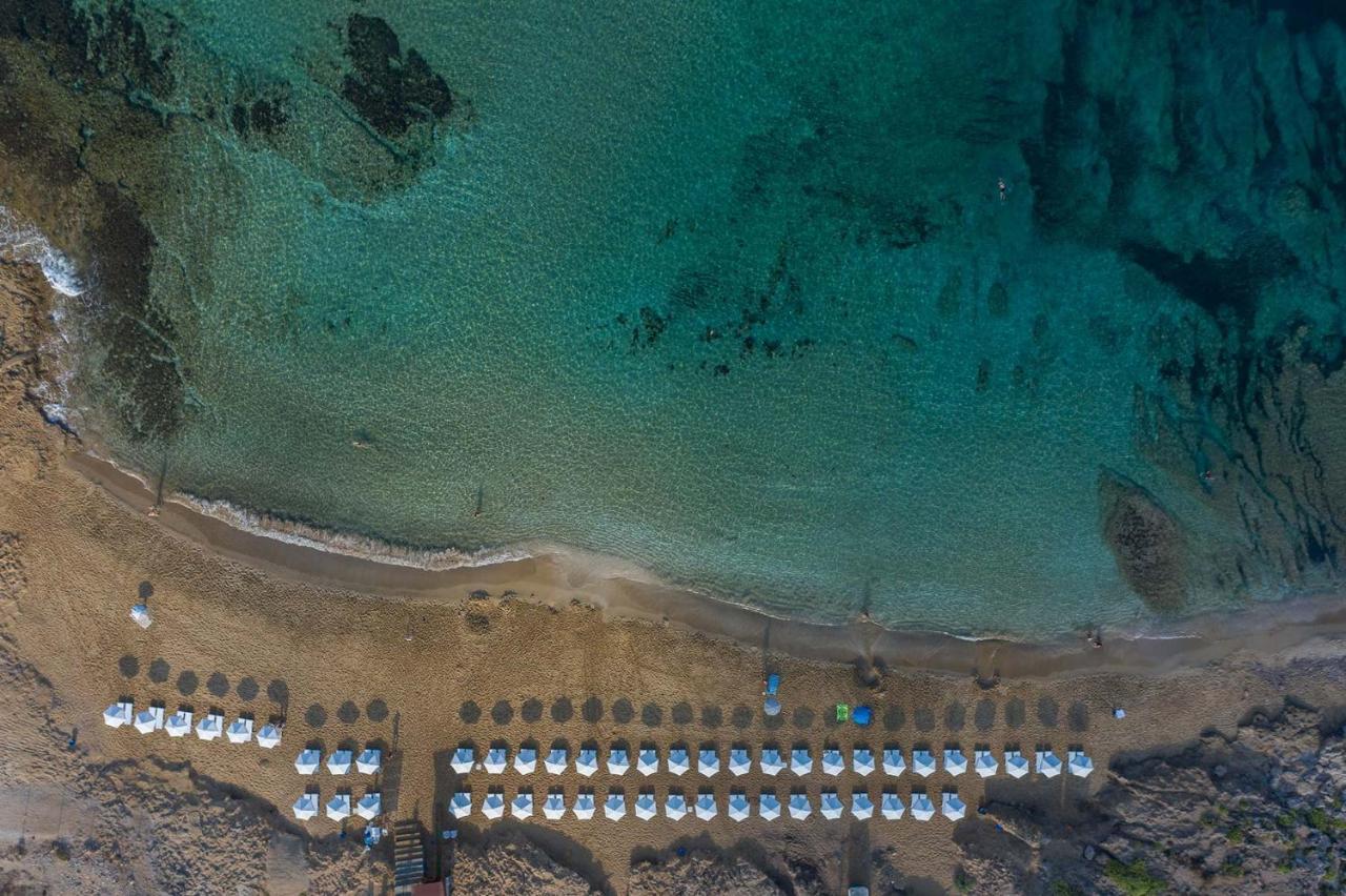 Regina Gardens Lovely Apartment Paphos ภายนอก รูปภาพ